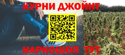 прущие грибы Аша