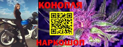 мяу мяу мука Баксан